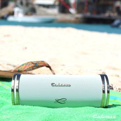 Cabasse SWELL Bluetooth Тонколона