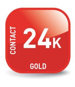 Real Cable CHAMBORD 2