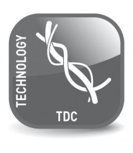 Real Cable CHEVERNY 2 - SUB