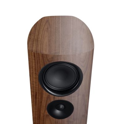 Canton Reference 5 Тонколони (чифт)